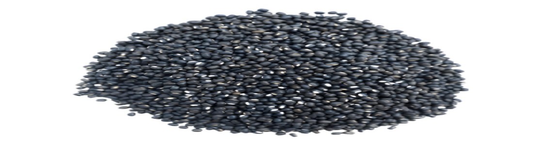 Pulses Importers